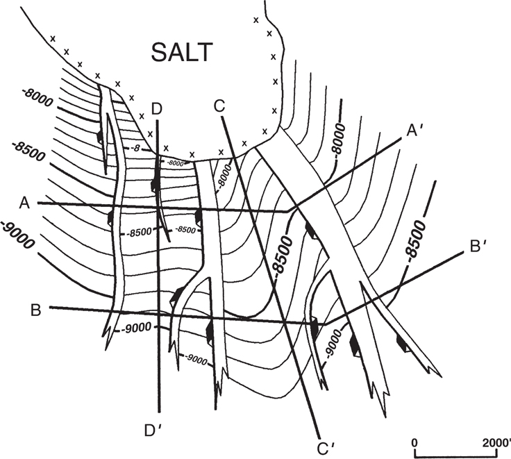 The structural cross-section of a faulted diapiric salt area is shown.