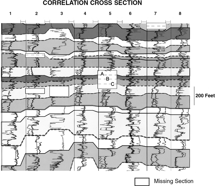 A cross-section correlates 8 log wells in the Pliocene sediment.