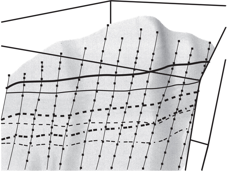 A triangular 3D fault surface clustered with multiple horizontal thick and thin lines (includes dotted as well as continuous lines), and multiple vertical lines with nodes are shown.