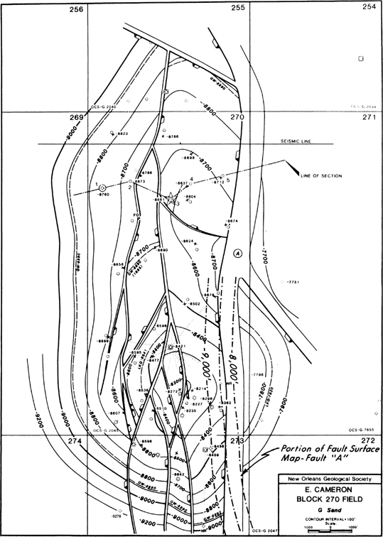 A figure displays the structure map from the Gulf of Mexico.