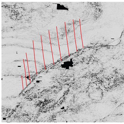 An example from Haynesville shows the simplified distribution of faults in three dimensions. Ten seismic red SE fault lines are placed orthogonal to the vertical seismic sections in the same order.