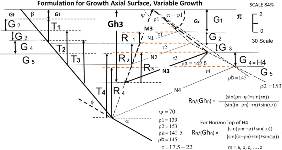 An illustration depicts the formulation for growth axial surface of variable growth.