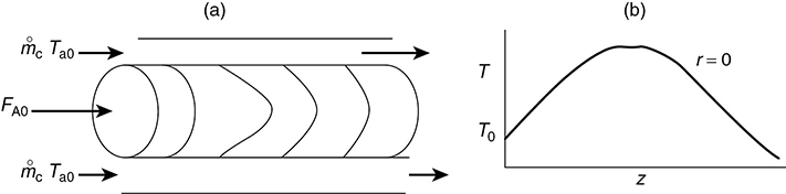 A figure and a graph represent the radial and axial temperature profile for a tubular reactor.