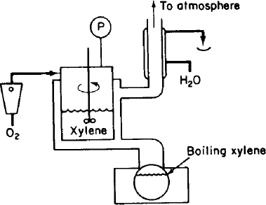 A figure depicts the catalyzed reaction in the experimental apparatus using xylene.
