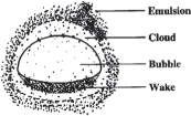 A schematic of fluidized bed is shown. The outer to inner layers are marked as Emulsion, Cloud, Bubble, and wake.