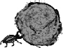 A beetle pushing a ball of dung is shown.