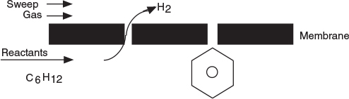 A schematic representation of membrane reactors is shown.