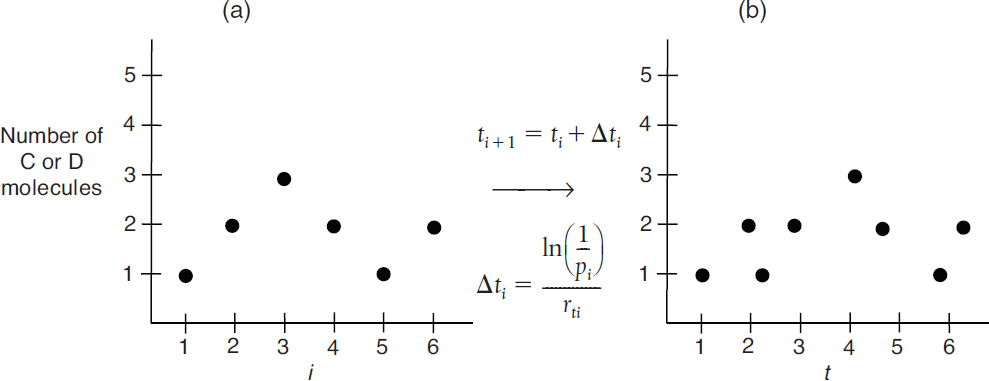 A scatter plot shows the number of molecules as a function of a simulation run number i. The horizontal axis represents the step numbers denoted as i, and ranges from 0 to 6, in increments of 1. The vertical axis represents the number of C or D molecules, and ranges from 1 to 5, in increments of 1. The plots are scattered along the points (2, 1), (2, 2), (3, 3), ( 4, 2), (5, 1), ( 6, 2). The plot fluctuates between increasing and decreasing trend. Note: All values taken are approximate.