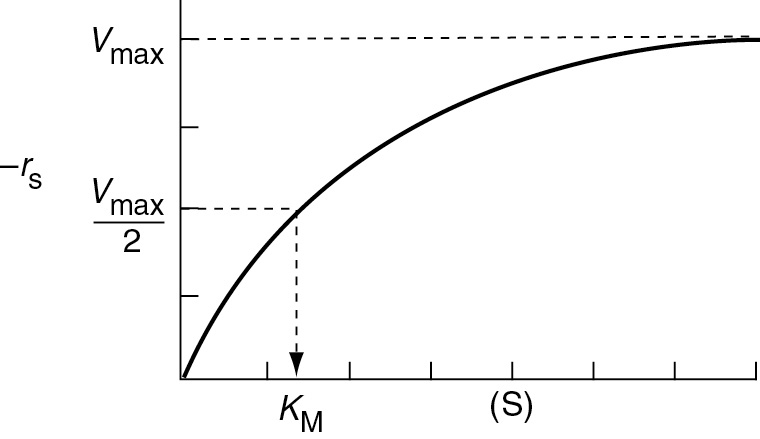 A graph traces the parameters V subscript max and K subscript M that obeys the Michaelis-Menten equation.