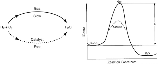 A chemical reaction and a graph of energy versus reaction coordinate are displayed