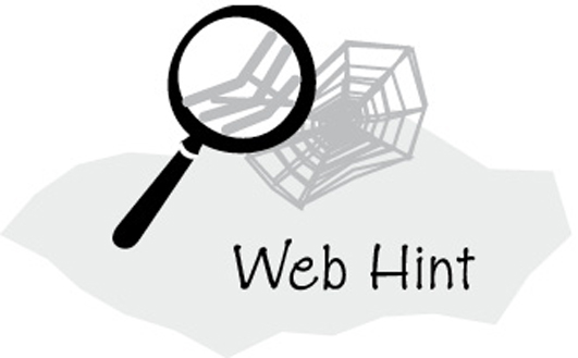 An illustration depicts a magnifier over the spider's web and represents the phrase, "web hint."
