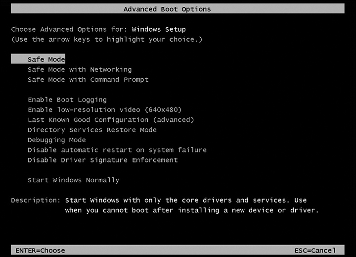 A screenshot of the Advanced Boot Options window.