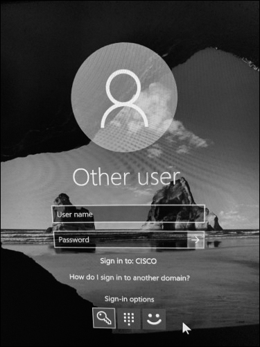The login page of windows 10 is presented where the other user is prompted to enter the user name and password. Three other sign-in options such as PIN, password, and windows hello are provided at the bottom of the login screen.