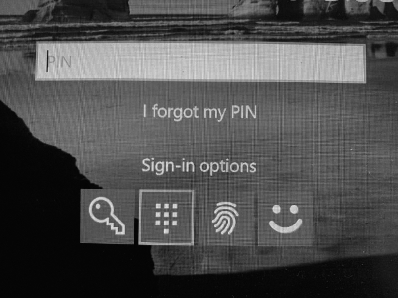 A windows 10 pin login screen is shown where the user is prompted to enter the pin. It is followed by a link, 'I forgot my pin.' Four other sign-in options are located at the bottom of the login screen.