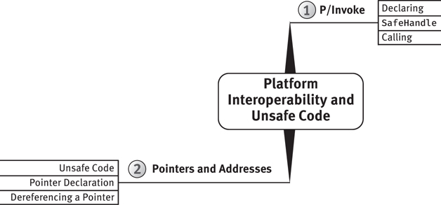 A figure depicts the platform interoperability and unsafe coding methods.