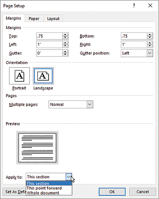 The Margins tab of the Page Setup dialog box with the Apply To list expanded; the list contains This Section, This Point Forward, and Whole Document options
