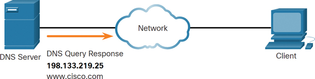 In the figure, DNS query response (198.133.219.25, www.cisco.com) is sent from the DNS server to the network and from the network cloud to the client PC.