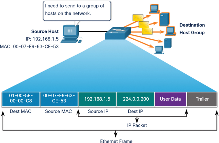 A network setup diagram aids in understanding a Multicast Frame Transmission.