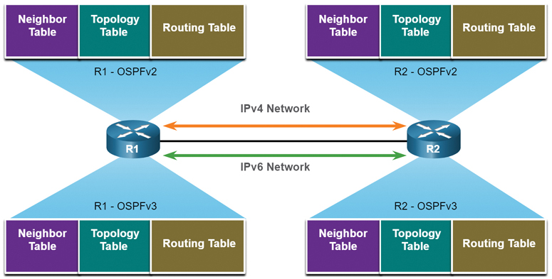 A figure provides an overview of the similarities between OSPFv2 and OSPFv3.