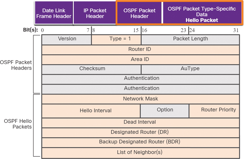 The format of OSPF hello packet is depicted.