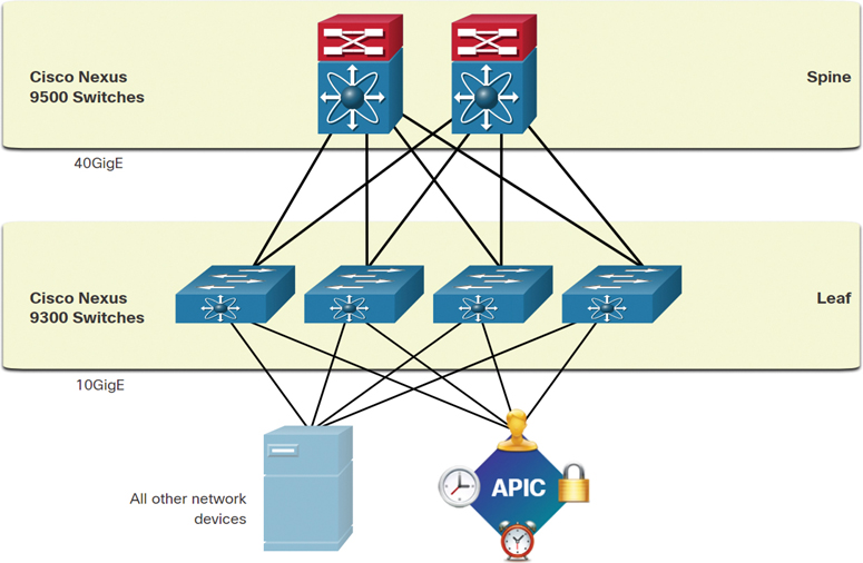 An illustration of the spine-leaf topology in the Cisco ACI fabric.