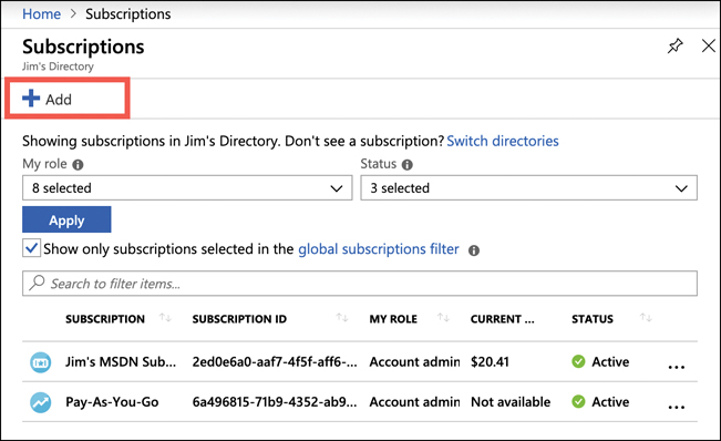 This figure shows a subscription in the Azure portal. At the top of the screen is an Add button.