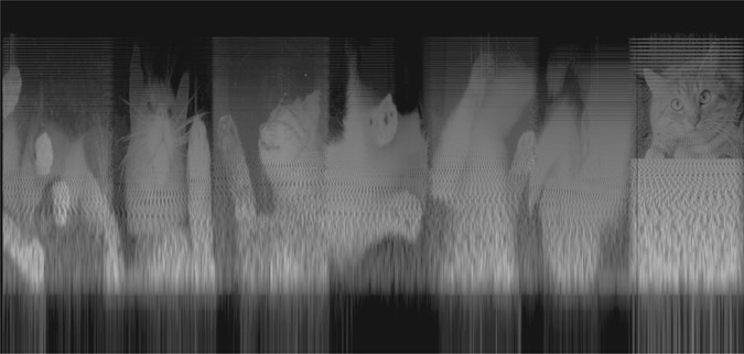 Figure 23.3 Spectrogram of Venetian Snares’s ‘Look’.