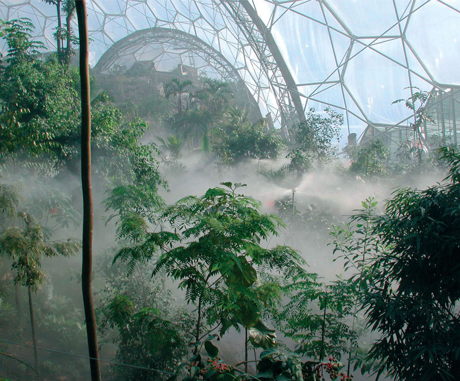 67. Interior of the Humid Tropics Biome