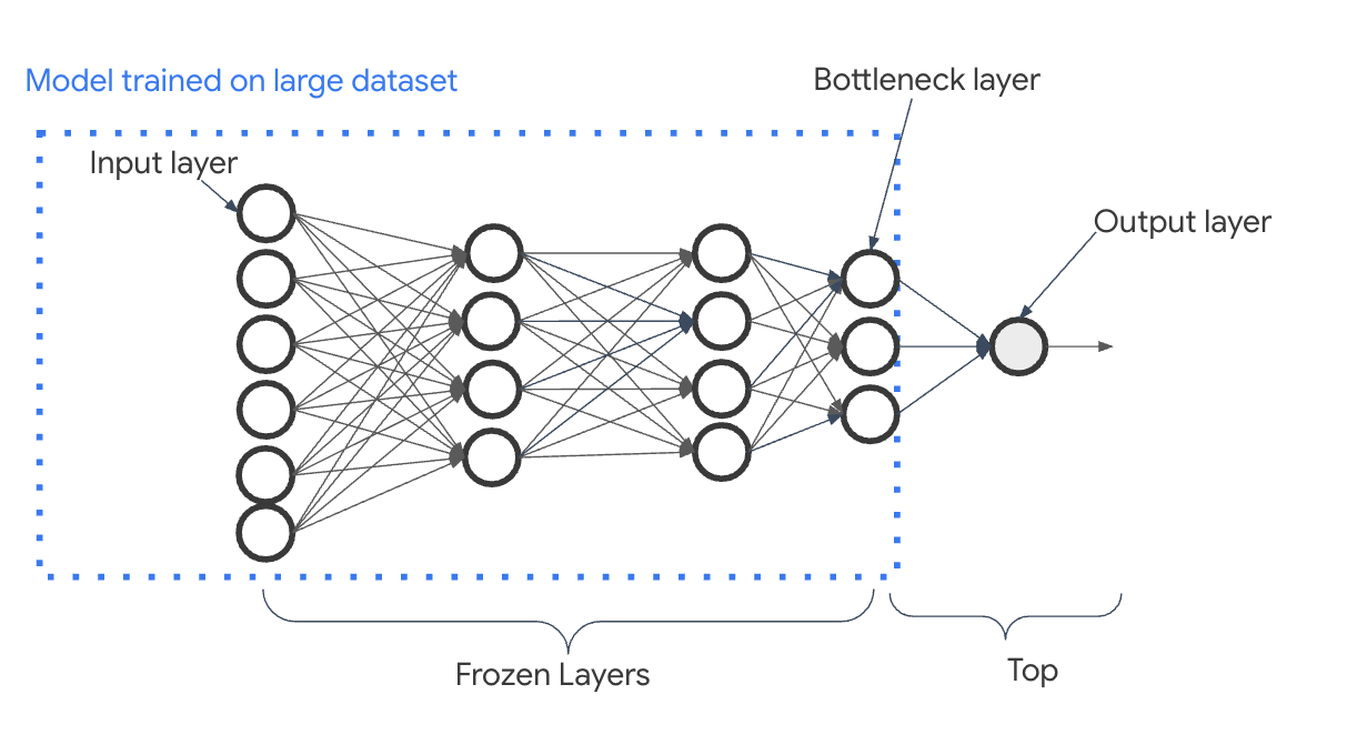 Transfer learning involves training a model on a large dataset. The  top  of the model  typically  just the output layer  is removed and the remaining layers have their weights frozen. The last layer of the remaining model is called the bottleneck layer.