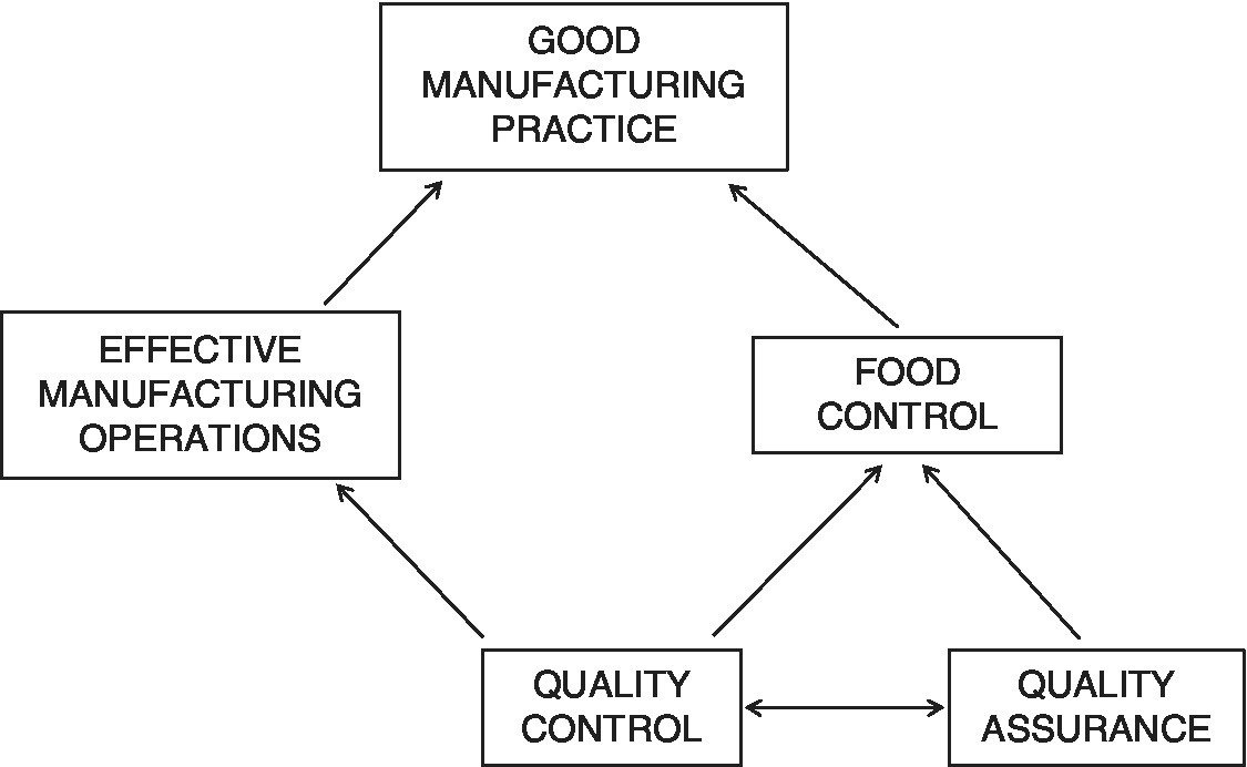 Diagram displaying Quality Control (linked to Quality Assurance) with arrows pointing to Effective Manufacturing Operations and Food Control, both with arrows pointing to Good Manufacturing Practice.