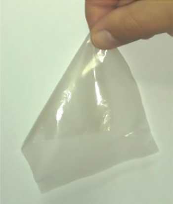 Photo depicting fingers holding a psyllium seed gum film plasticized with glycerol.