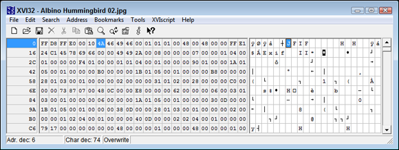 Screen capture of XVI32 window with Albino_Hummingbird_02.jpg file and a grid of number values.