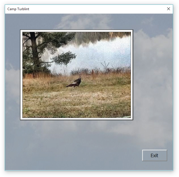 Screenshot of the Camp Turblint screen displaying the photo of a bird on grass in a forest, a background texture, and a command button that blends into the background.