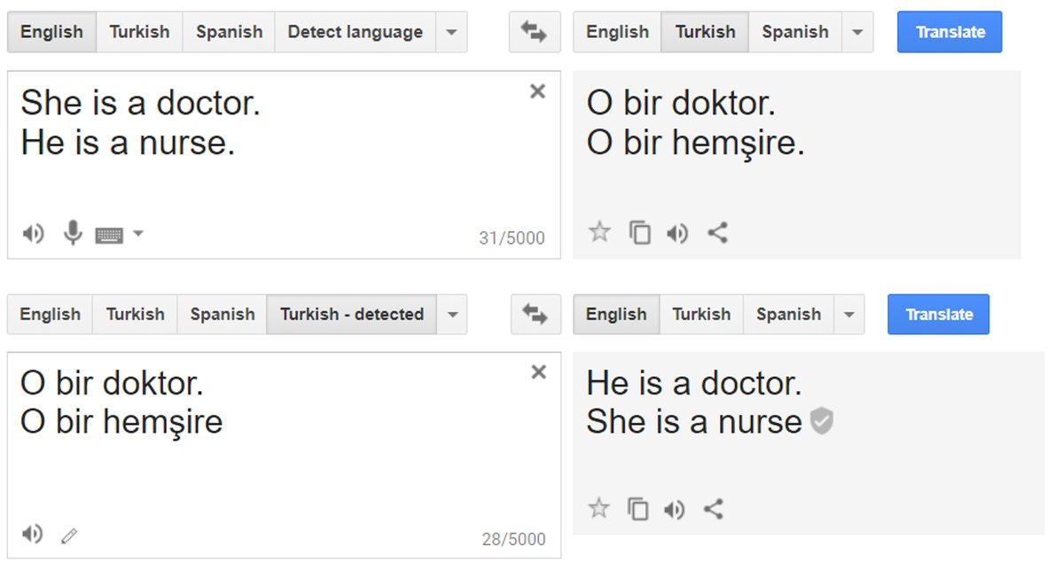 Figure showing gender bias in data ets used to train language models showing up in translations