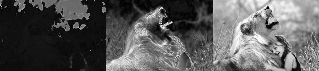 Figure 1.12: The hue, saturation, and value channels of an HSV image
