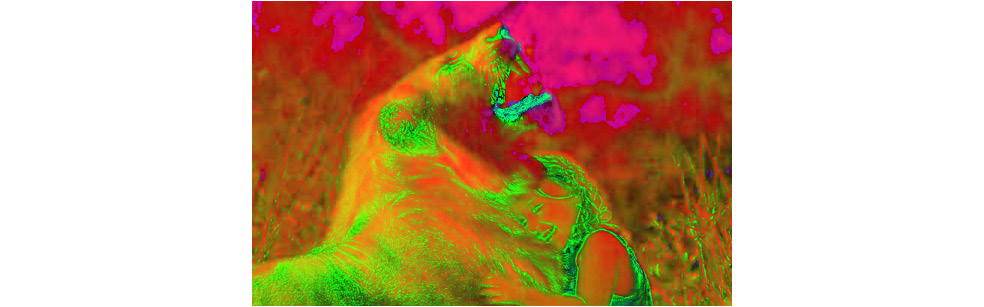 Figure 1.36: Image converted into the HSV color space
