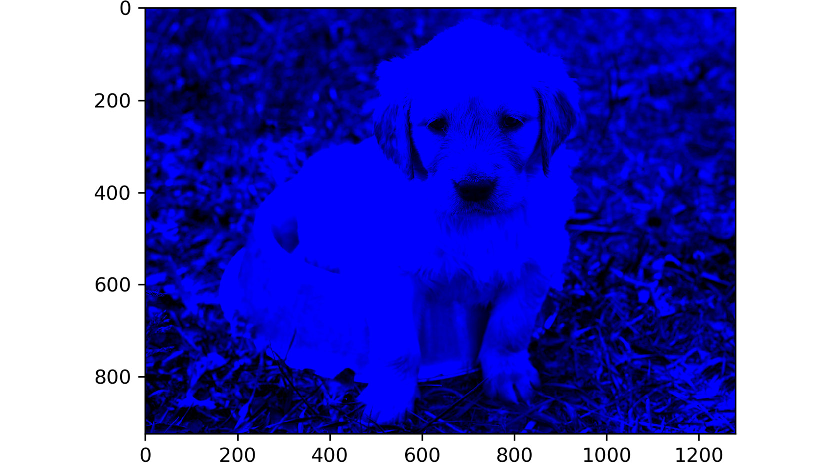 Figure 2.34: Result obtained by multiplying the image by 2 using OpenCV
