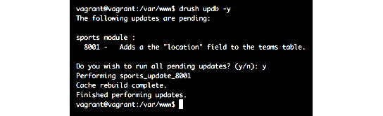 Figure 8.1: Using Drush to run the updates 
