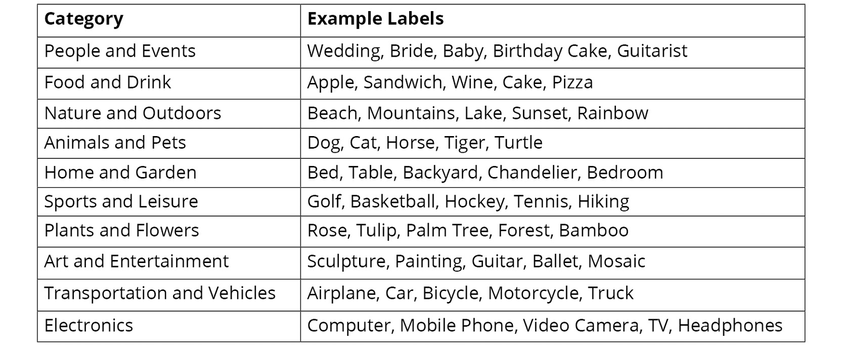 Figure 6.1: Labels supported by Amazon Rekognition
