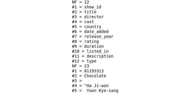 Figure 3.4: Output of the parsing of a comma-separated file with Netflix titles
