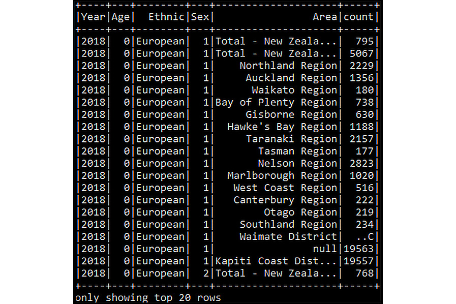 Figure 6.12: Displaying the CSV DataFrame
