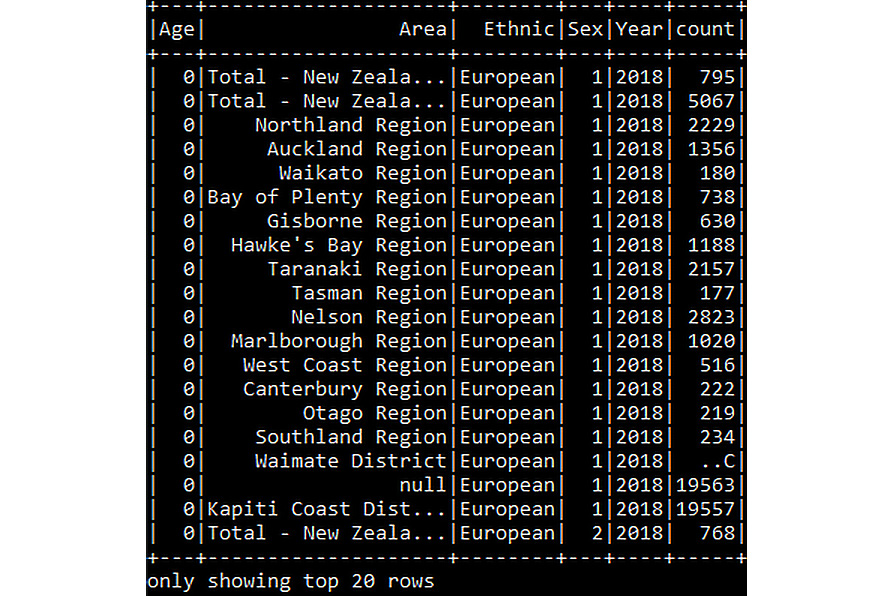 Figure 6.13: Displaying the JSON DataFrame
