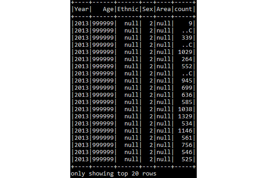 Figure 6.14: Displaying the Parquet DataFrame
