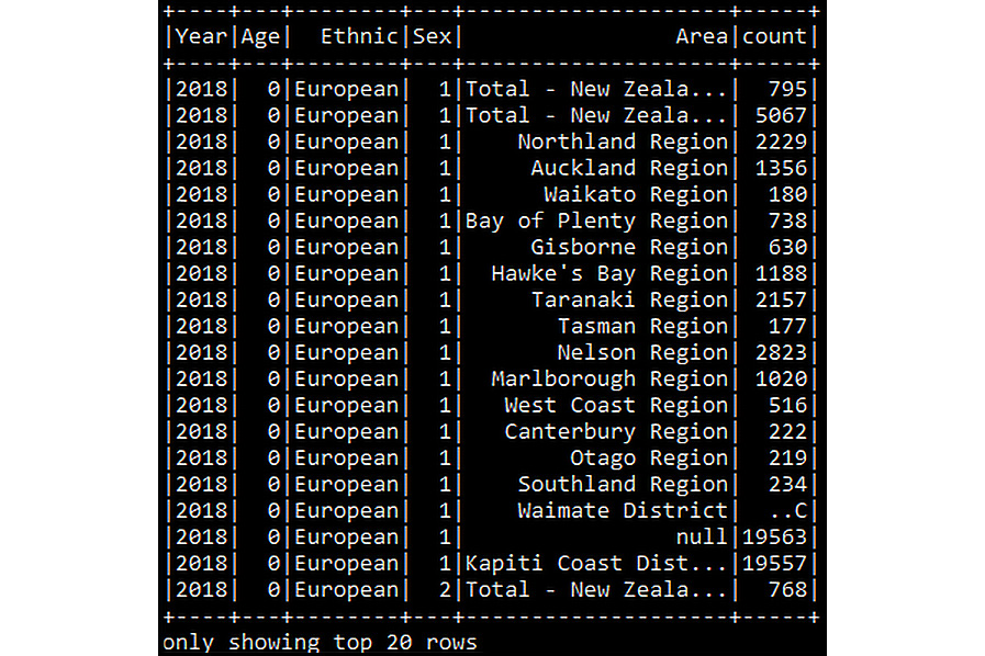 Figure 6.18: Displaying the CSV DataFrame
