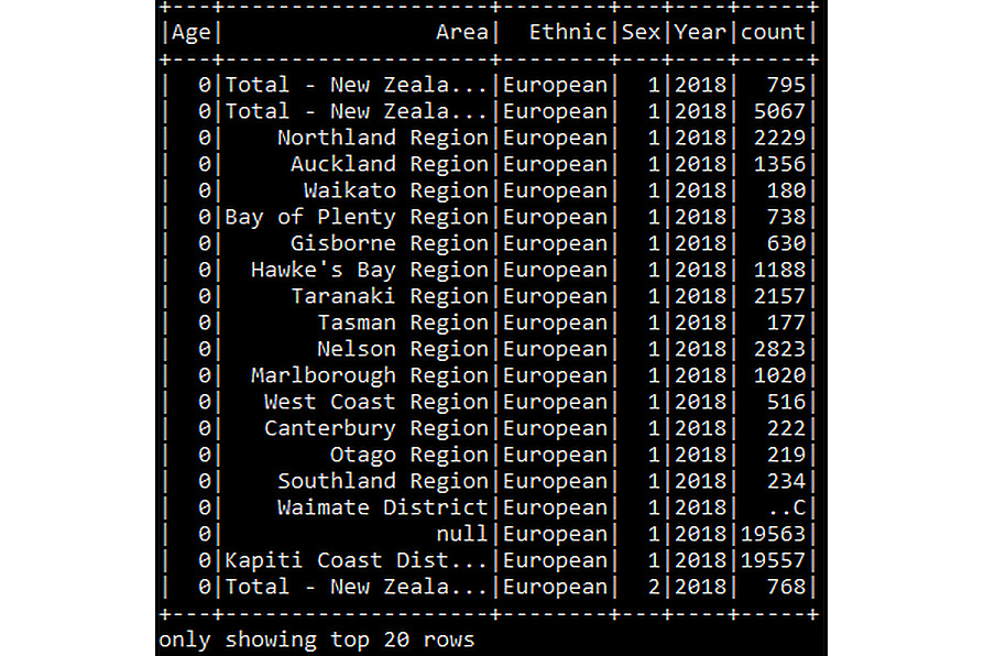 Figure 6.19: Displaying the JSON DataFrame
