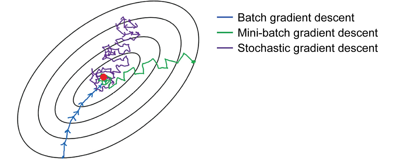 Figure 11.15: Comparison of different gradient descent algorithms
