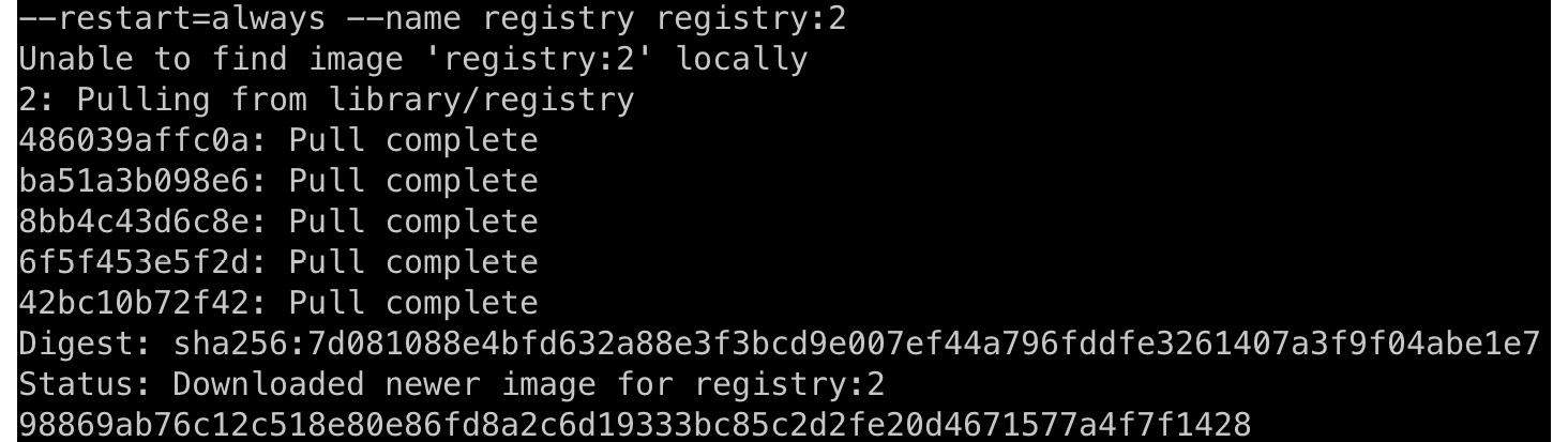 Figure 12.20: Creating a local registry
