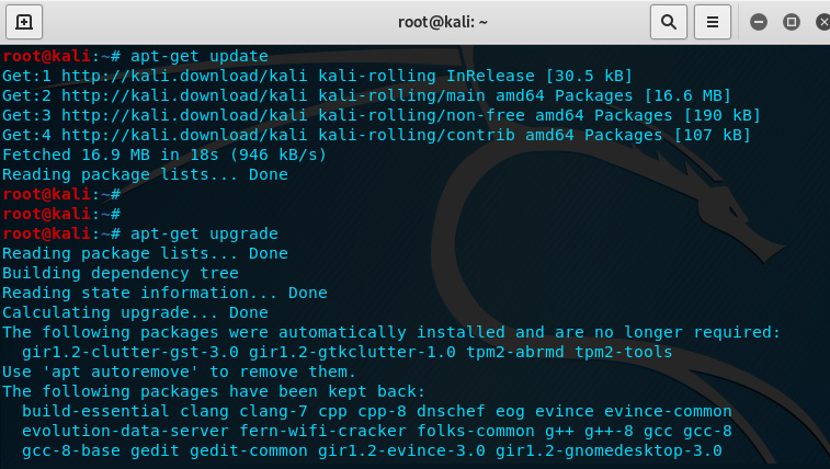 Figure 2.39 – Updating Kali Linux
