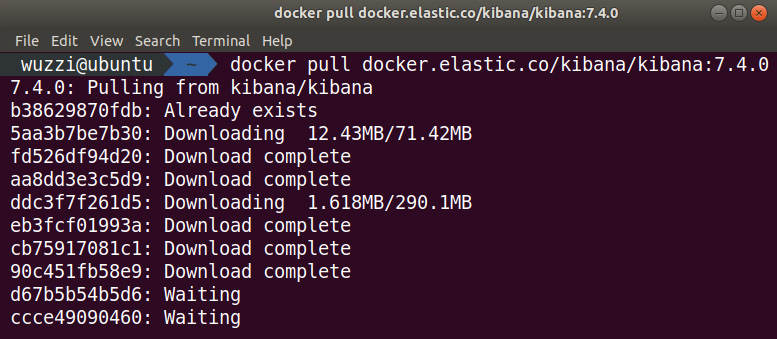 Figure 12.15: Downloading the Kibana Docker image from elastic.co
