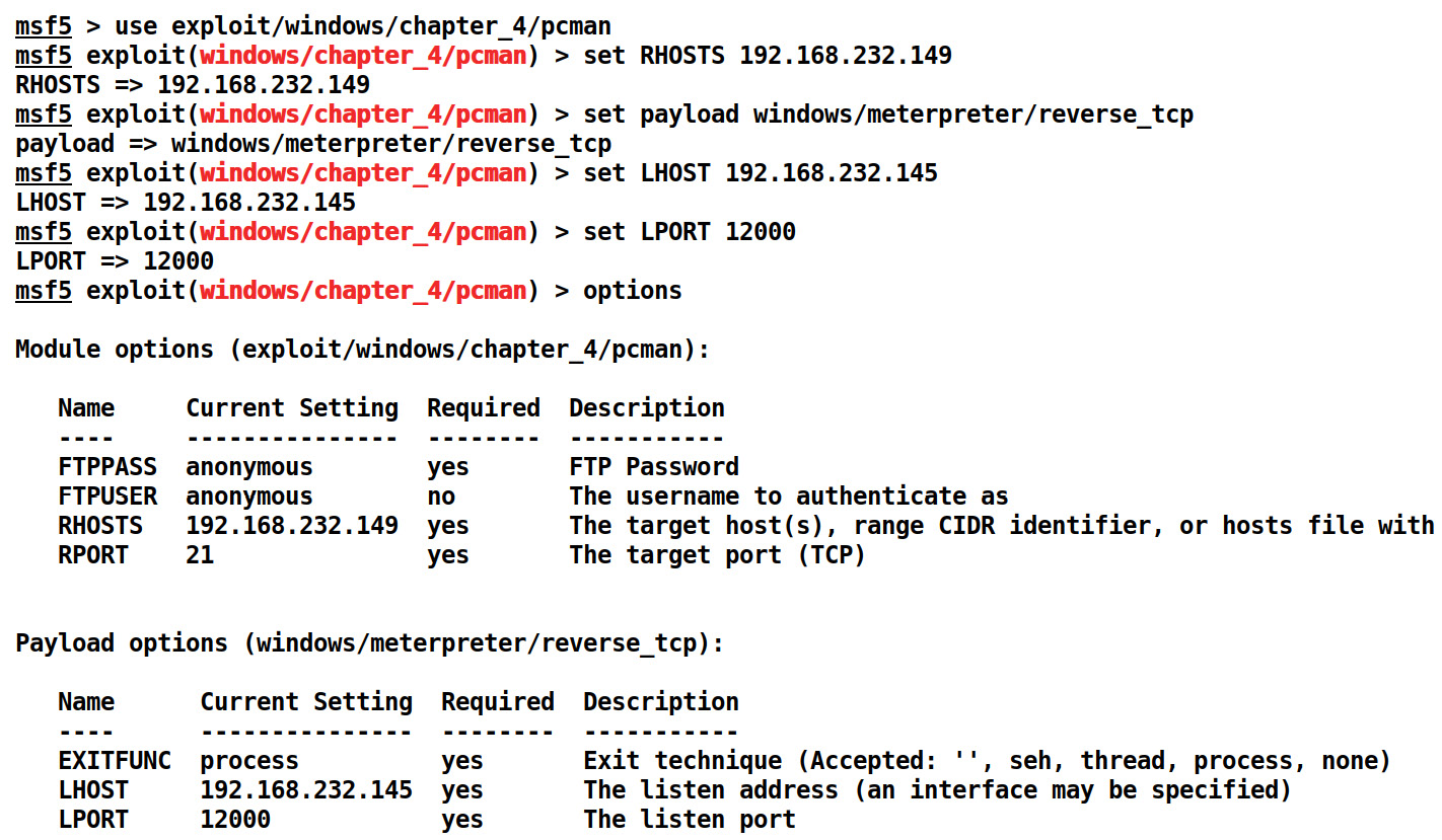 Figure 4.3 – Setting options for PCMan Metasploit Exploit module
